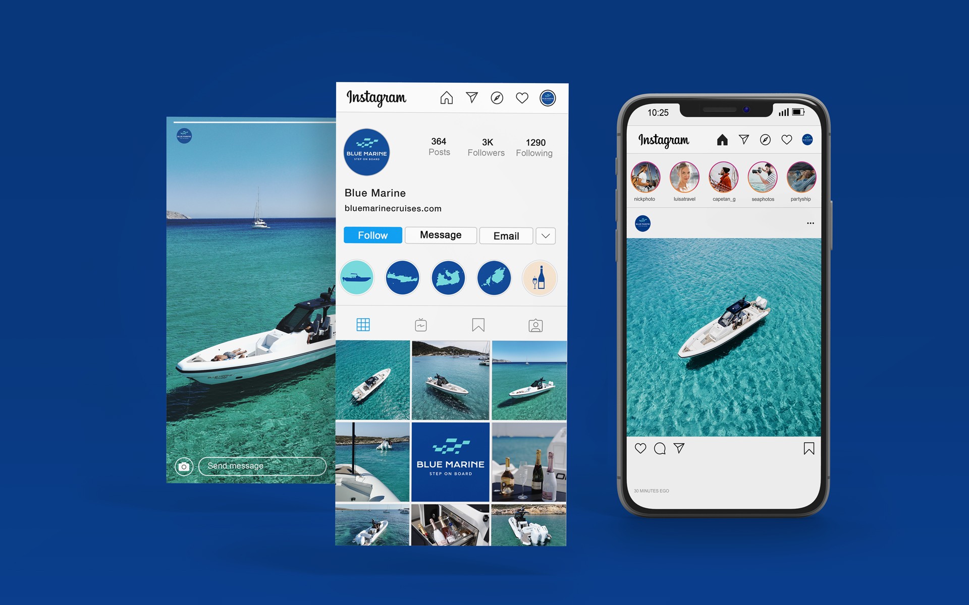 Digital application of the Blue Marine identity across social media, focusing on visual and content consistency