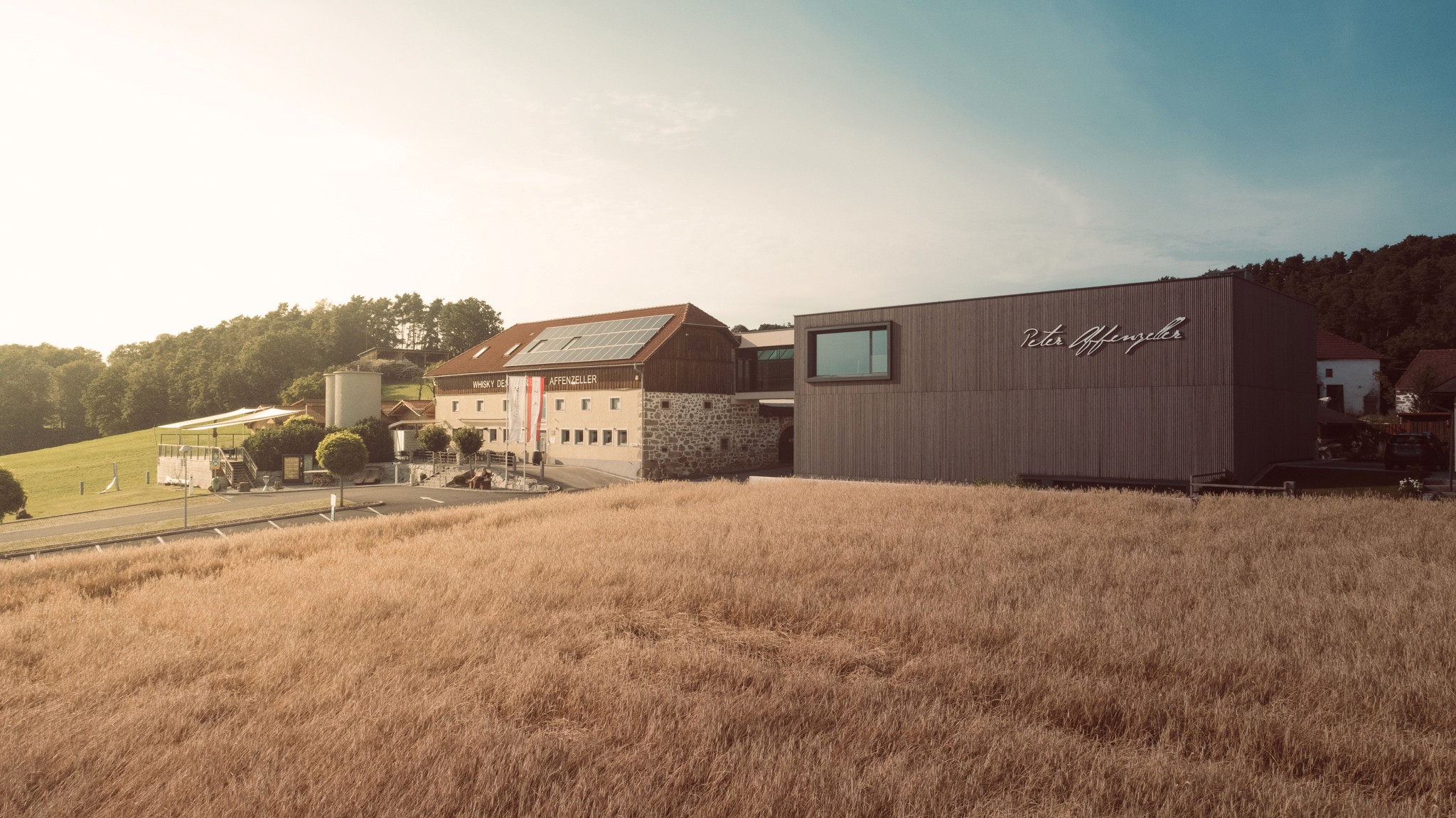Close-up of lush, dark green leaves, some glossy and wet, against a muted background.