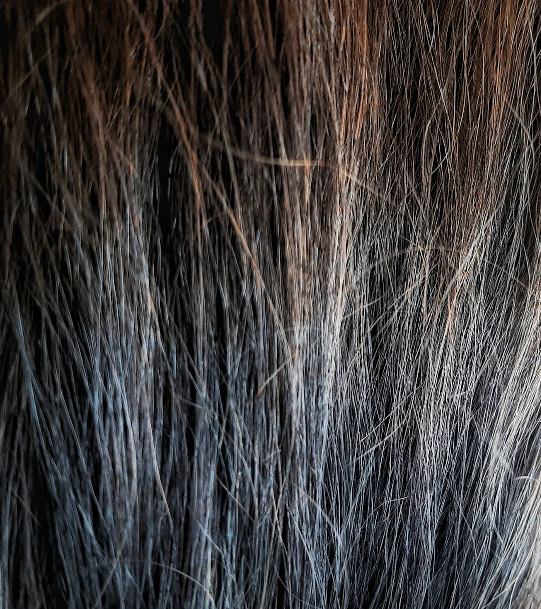 beauty clinic treatment