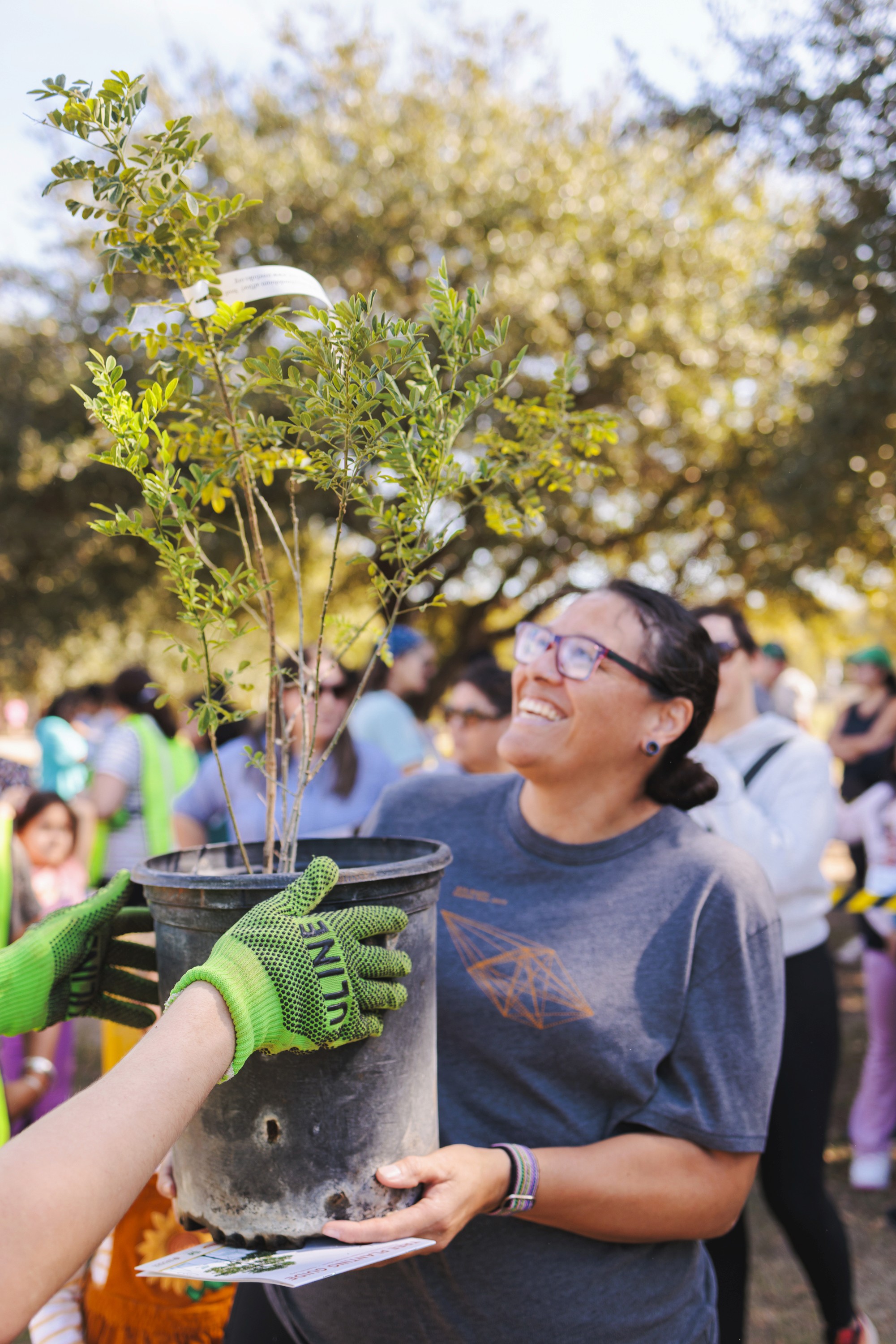 Photo By: TreeFolks