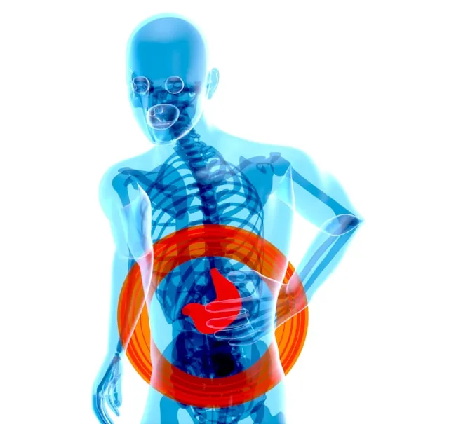Photo of a stomach with a caution symbol, highlighting common berberine side effects like nausea and diarrhea