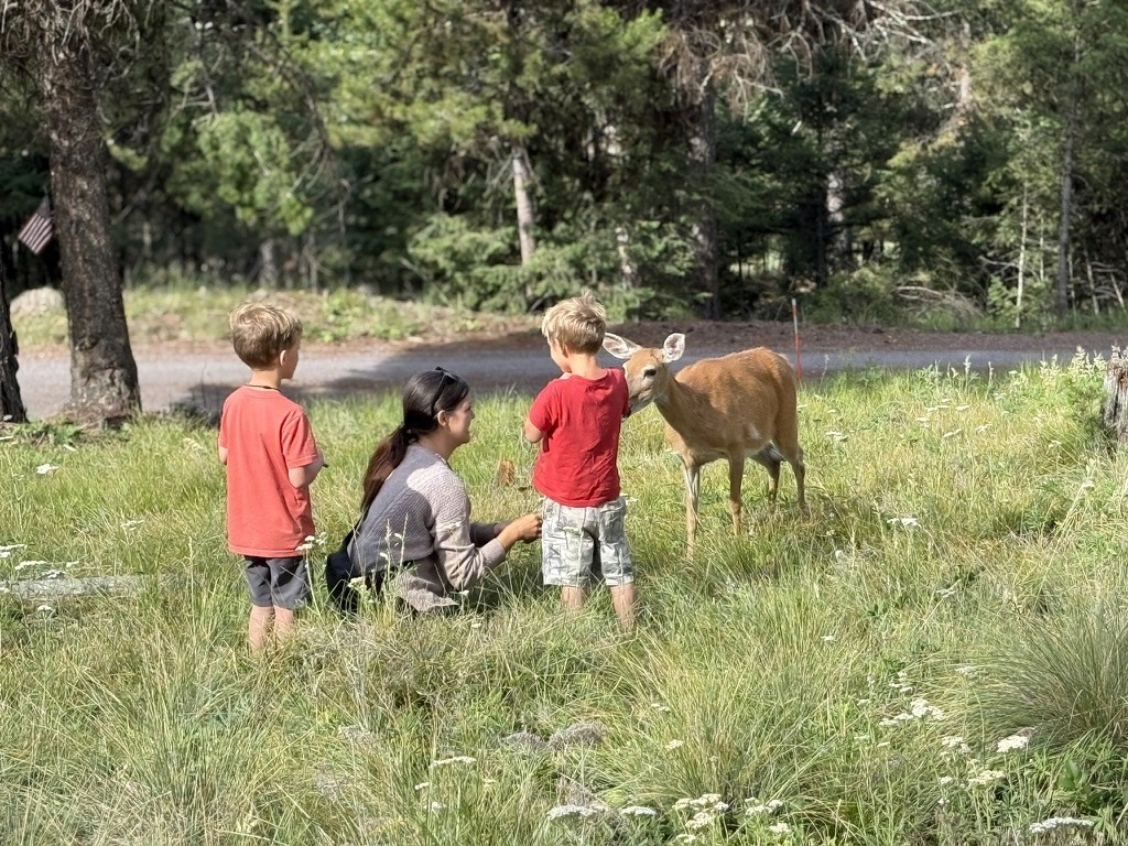 An adult and two children standing near a deer in a grassy meadow.