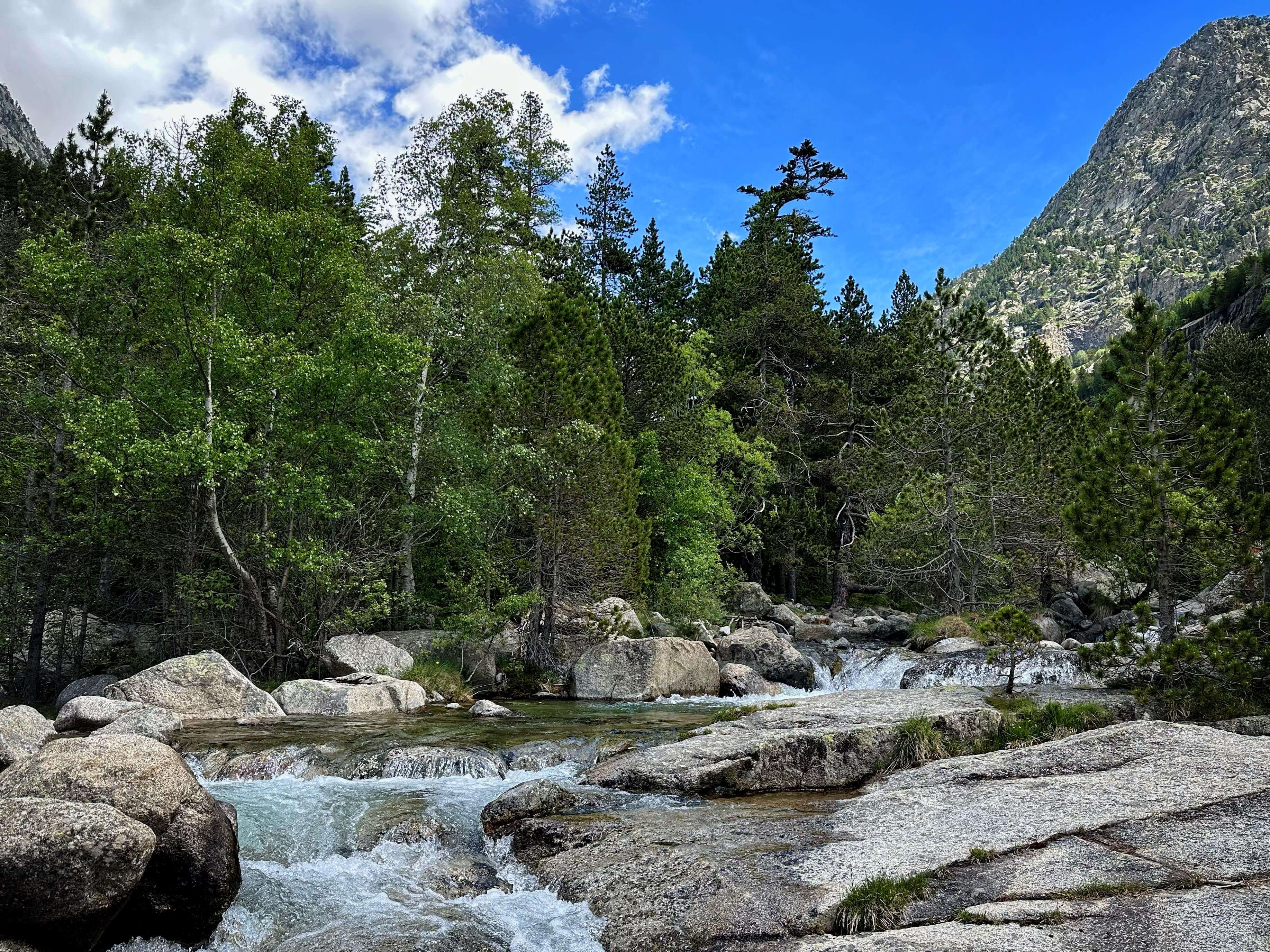 fly fishing spanish pyrenees