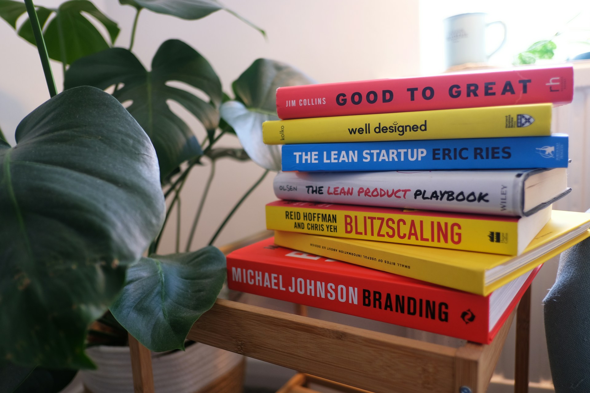Selection of startup and brand management books