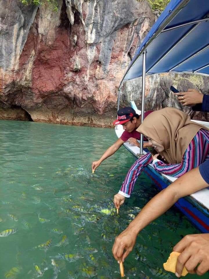 Guests feeding fish from the boat on the mangrove tour