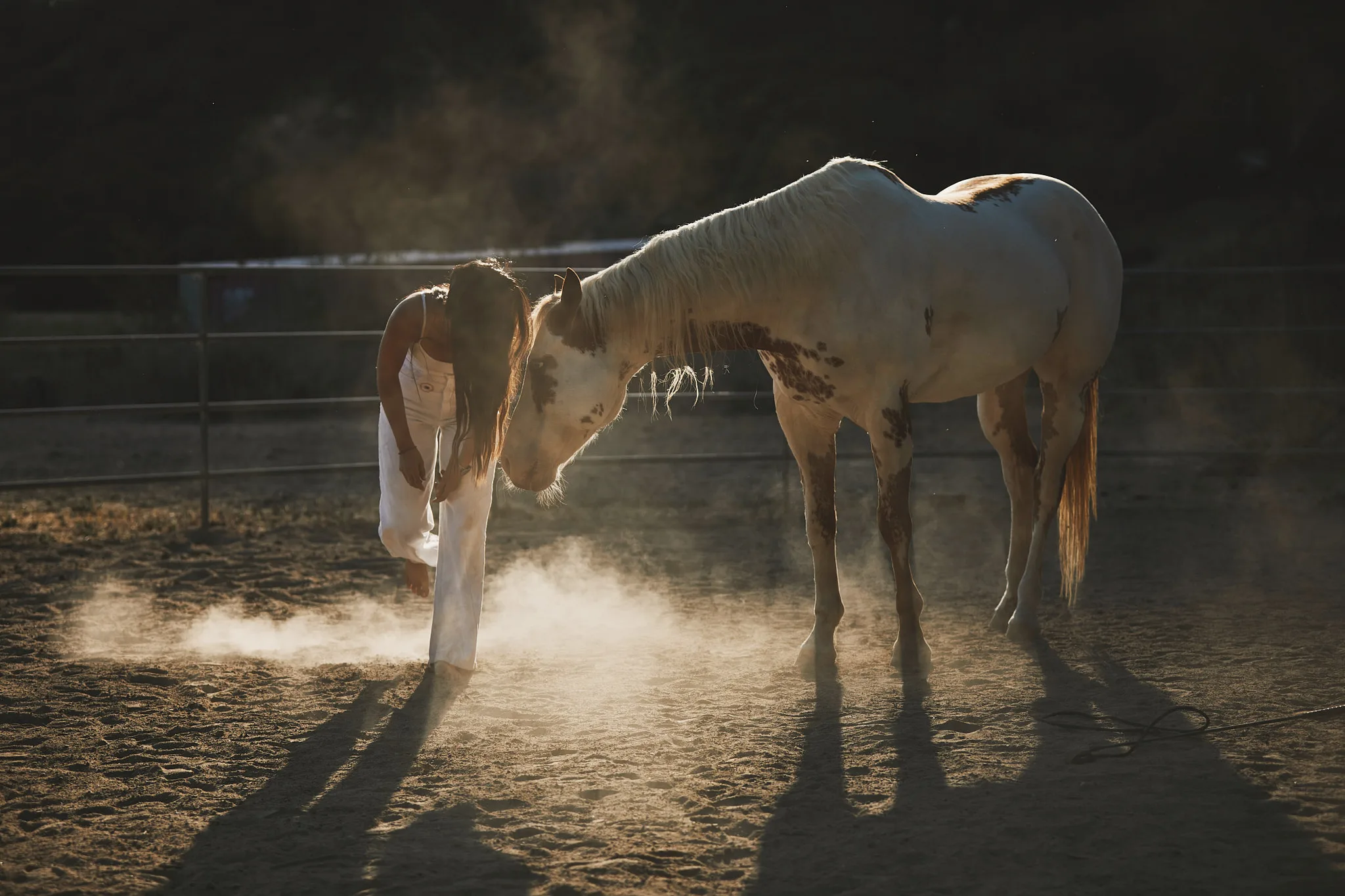 woman and paint horse rest foreheads together — Alex Saidac photography by Tom Kubik