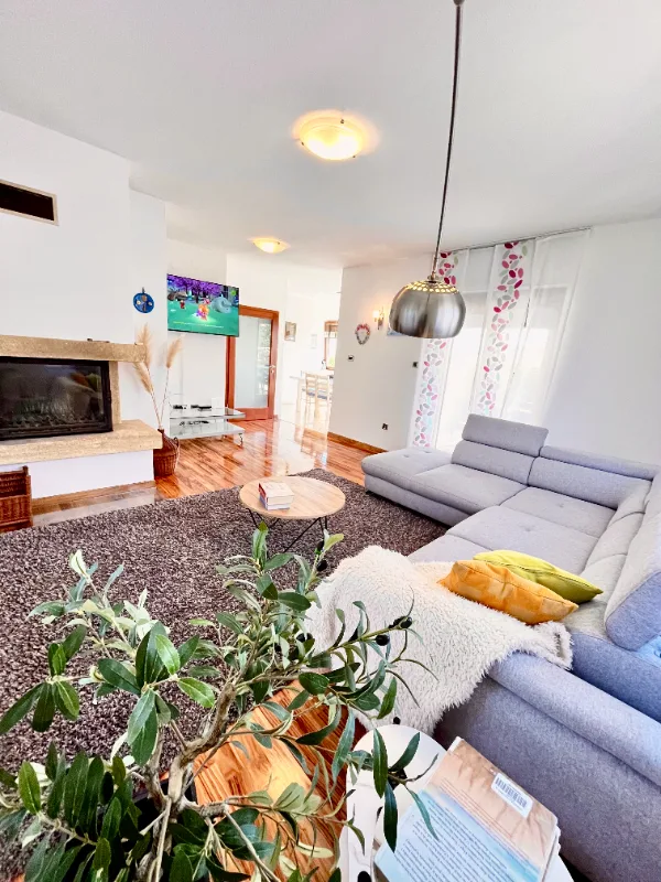 Close-up of a tree stump showing growth rings and a textured brown wood surface.