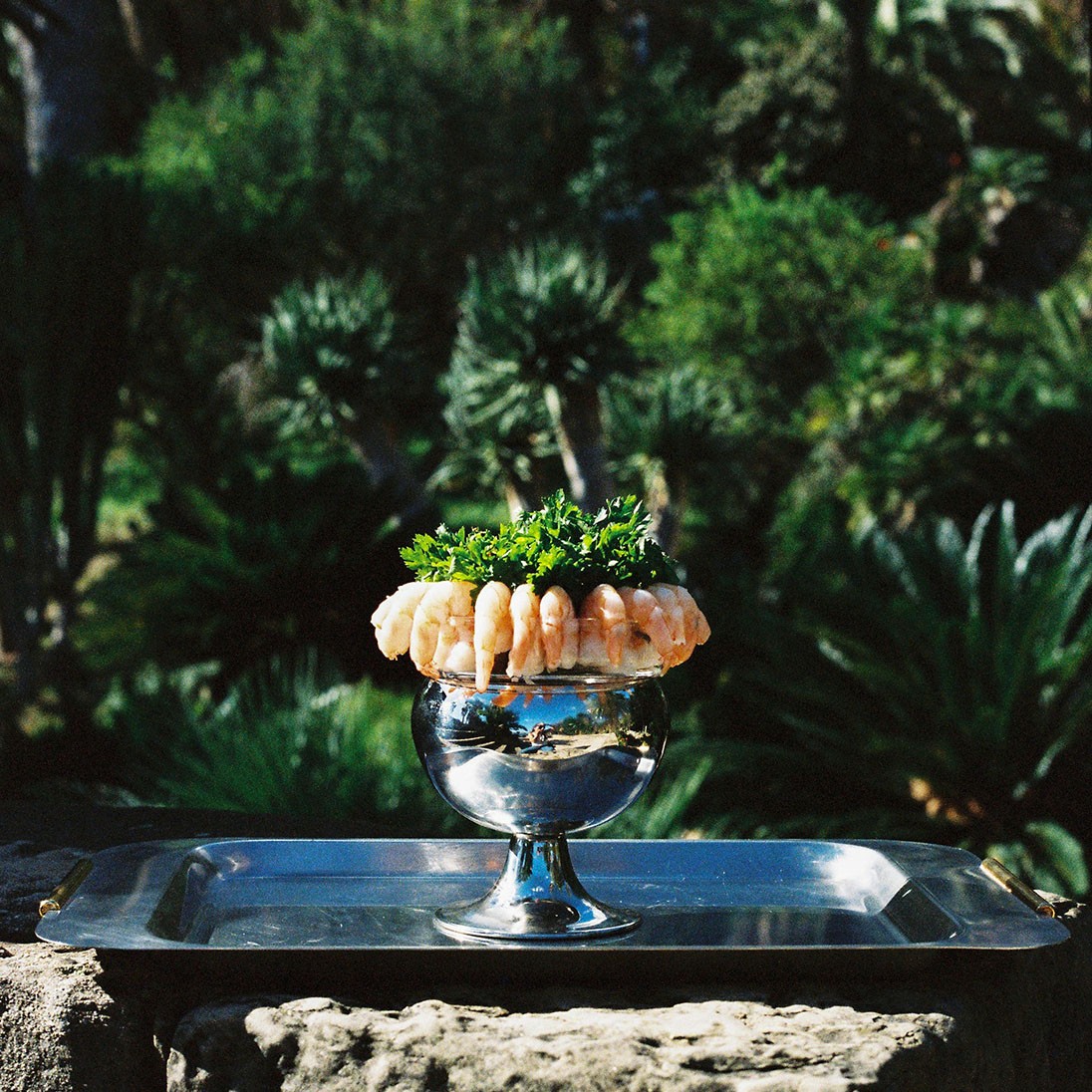 a couple of animals that are standing on some rocks