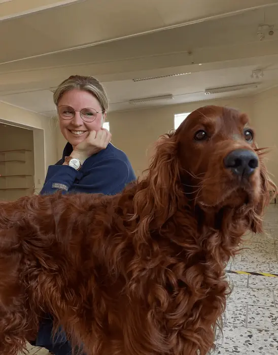 Hund i secondhandbutiken Tassa och Trava – Bättre begagnat.