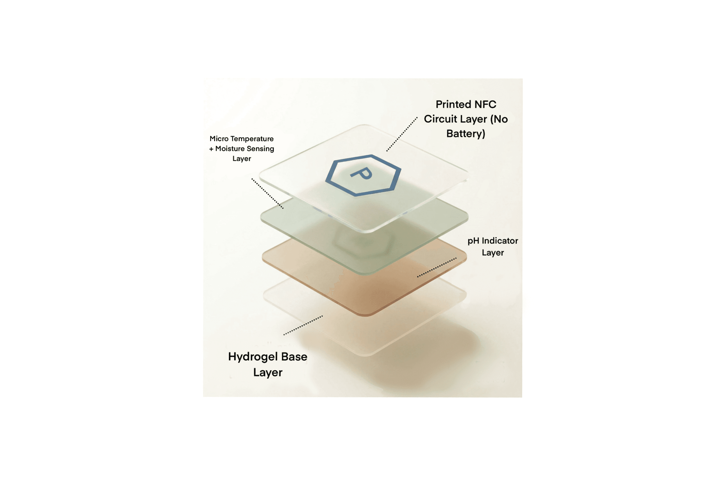 Project Content Image - 2