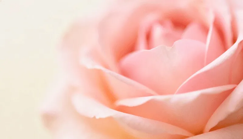 Card Background Image