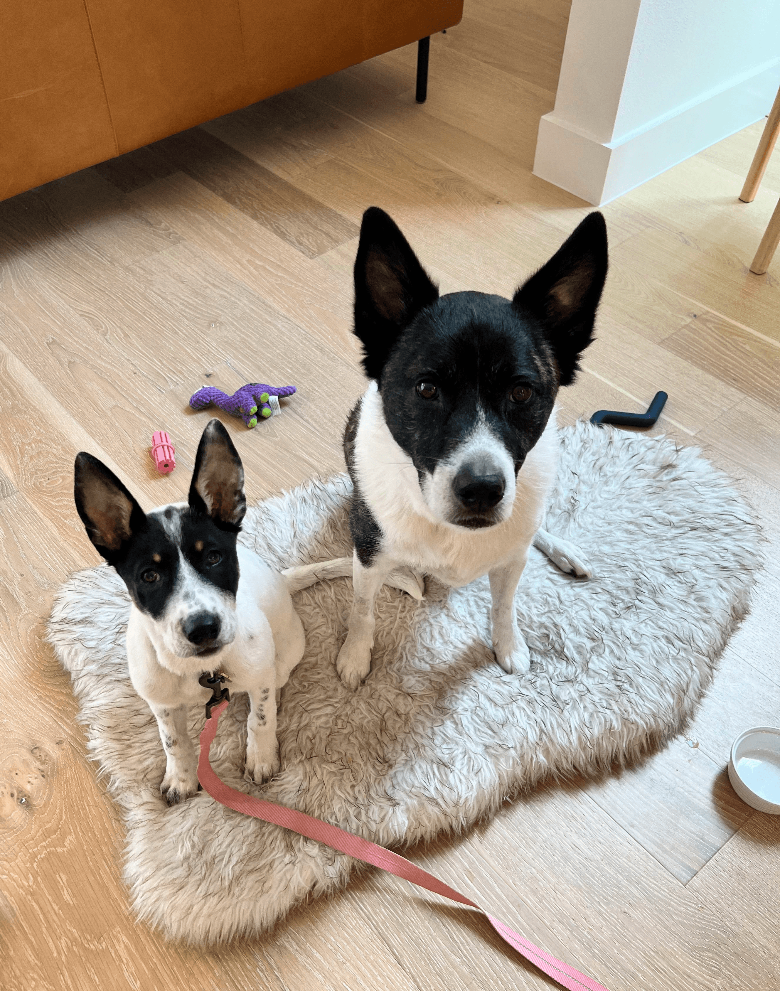 The image featured at the top of the about us page #2