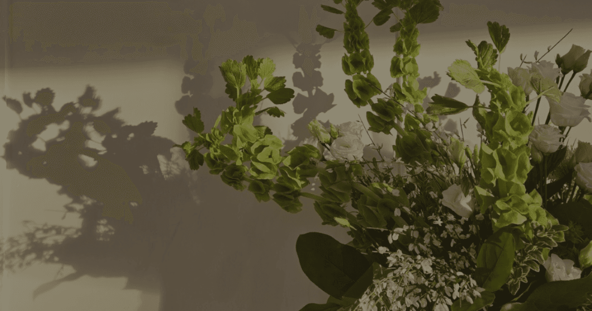 A green bouqet of flowers sits on a kitchen countertop with the sun casting a shadow on the millwork behind.