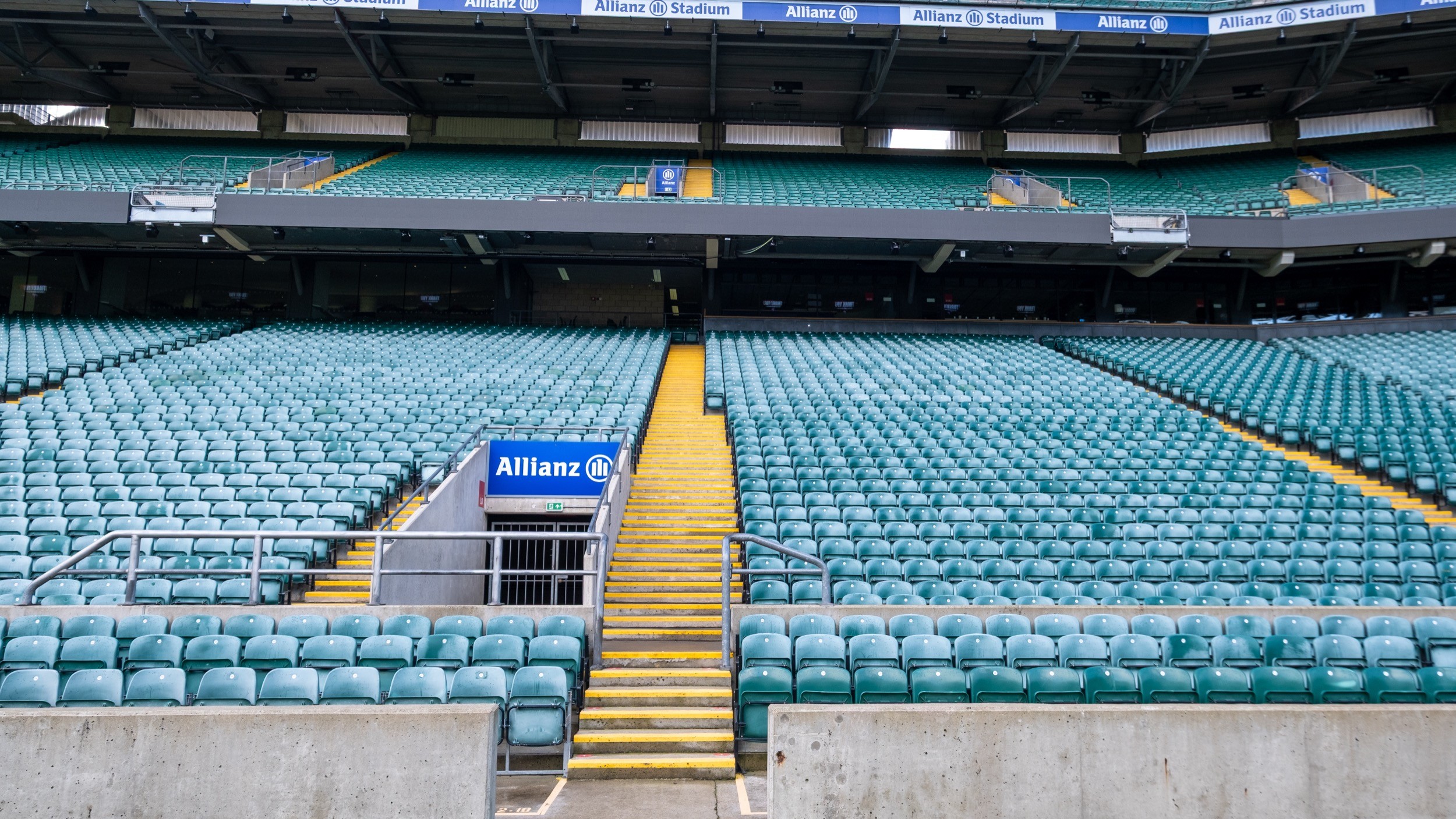 Two classic volkswagen beetles, one green, one cream.