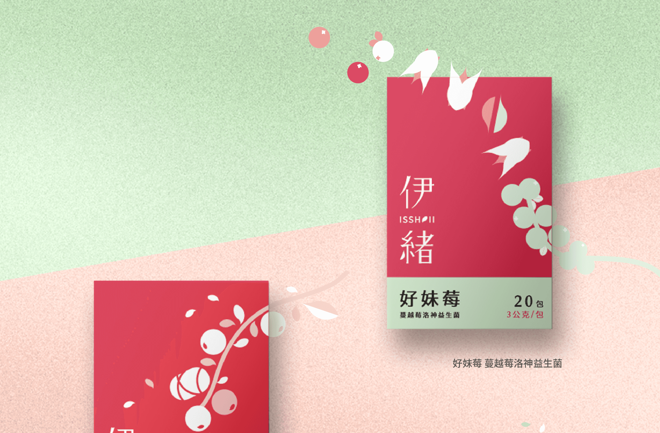產品包裝設計展示圖