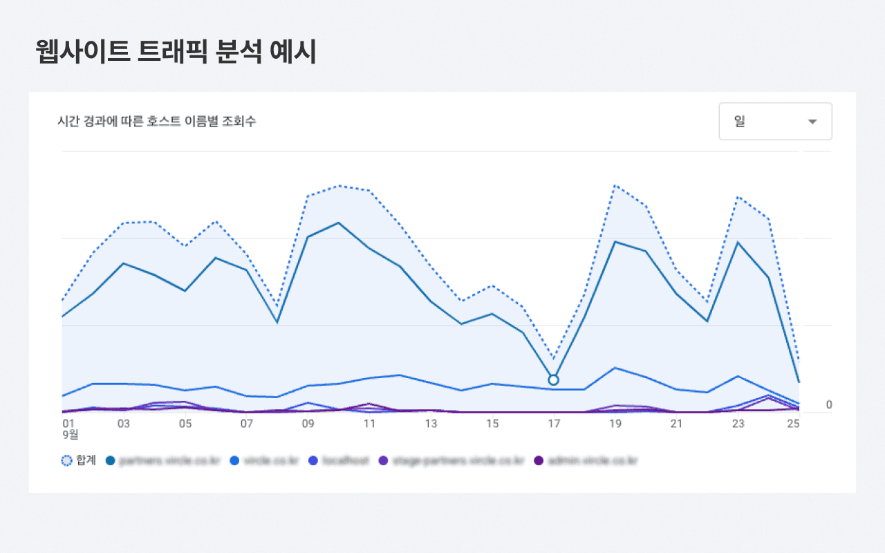 웹사이트 트래픽 분석 예시