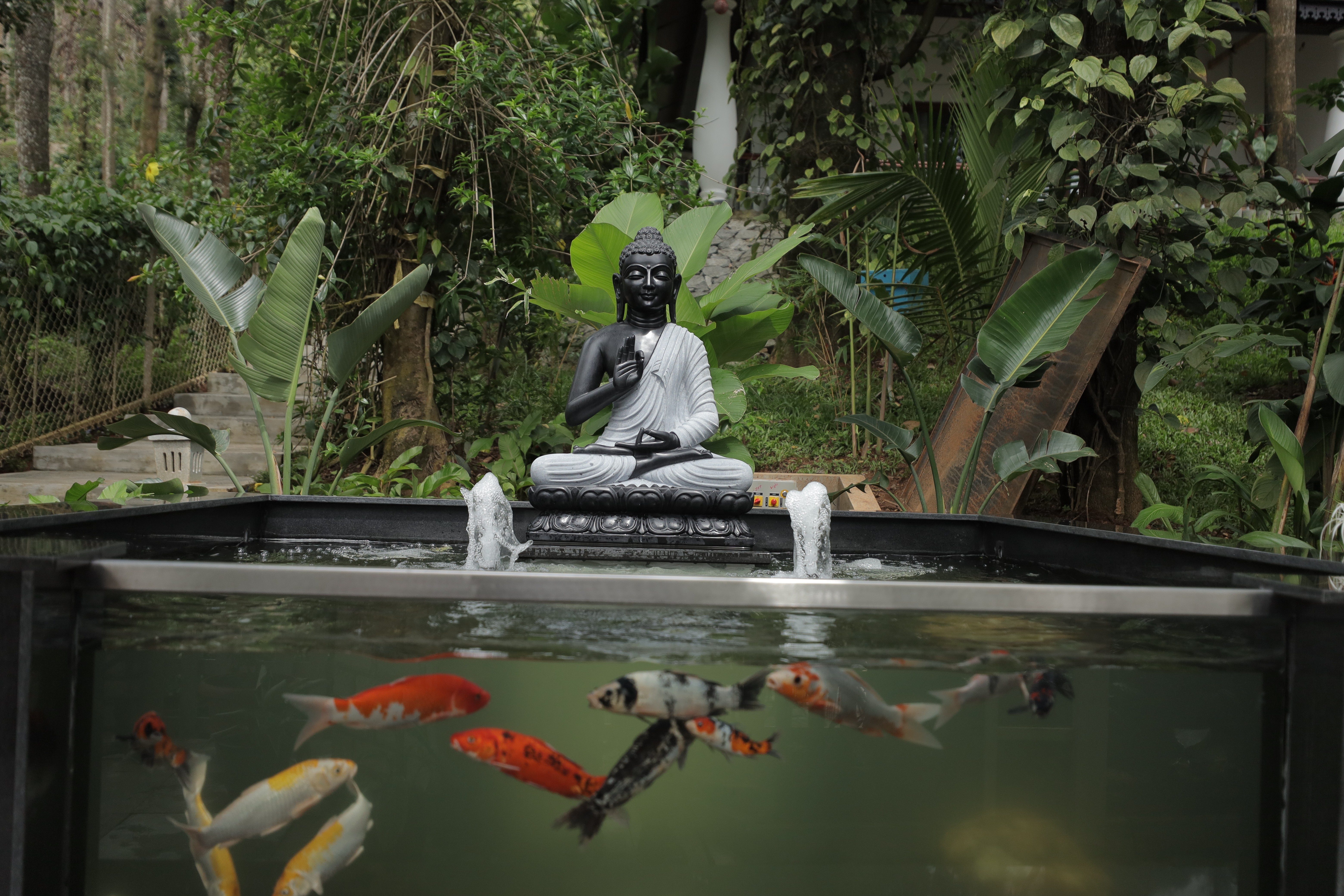 Koi pond designed for resort in Bangalore by Orenda Pools