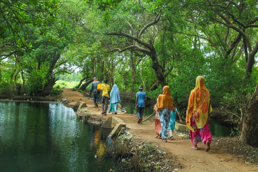 People walking through mangrove via bridge. Photo credit Anthony Ochieng Onyango