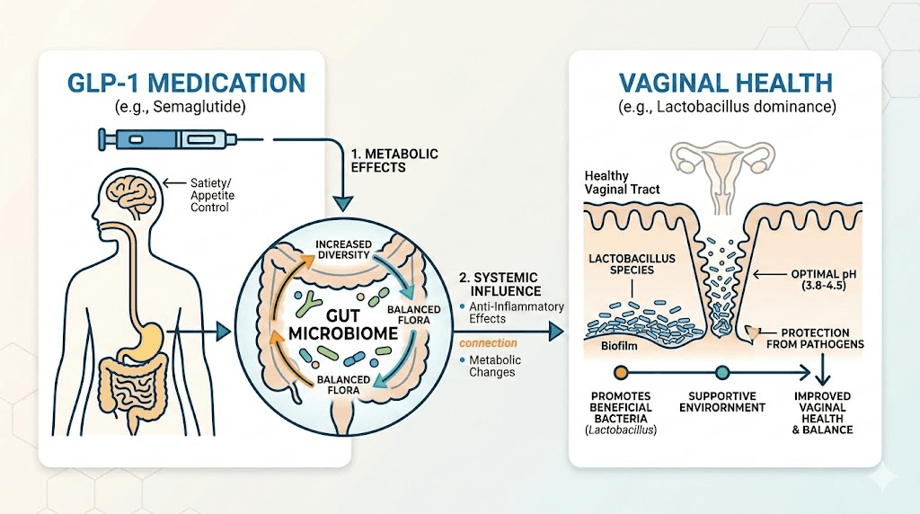 How semaglutide affects gut and vaginal microbiome health