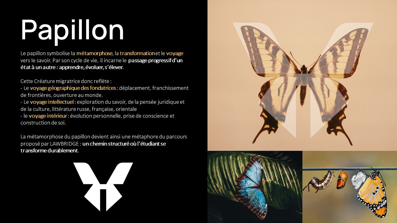 A dreamy purple, pink, and orange gradient.