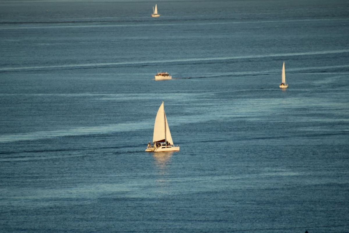 Sail the Great Trust Gap