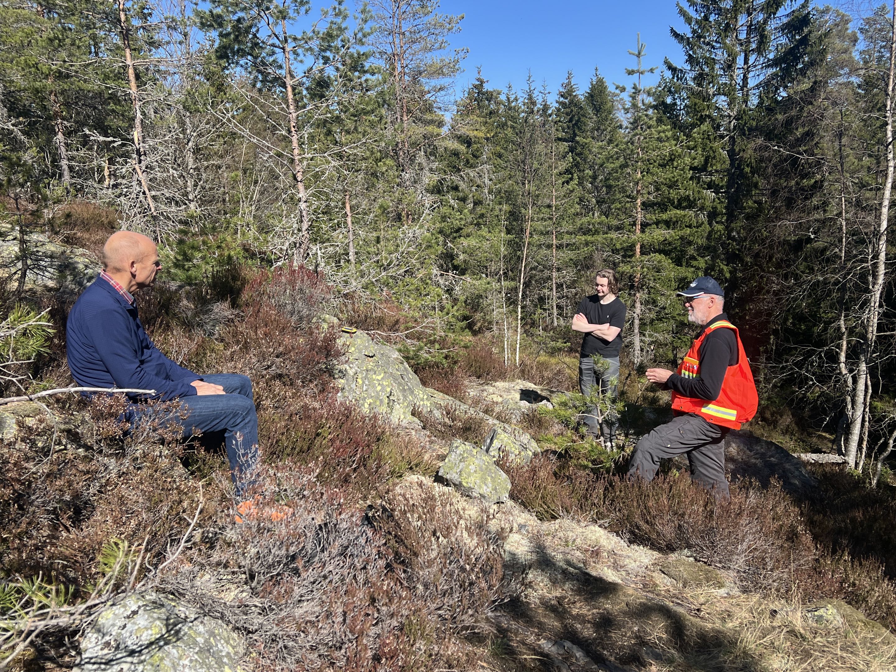 Modern spiral staircase with wooden accents and lighting