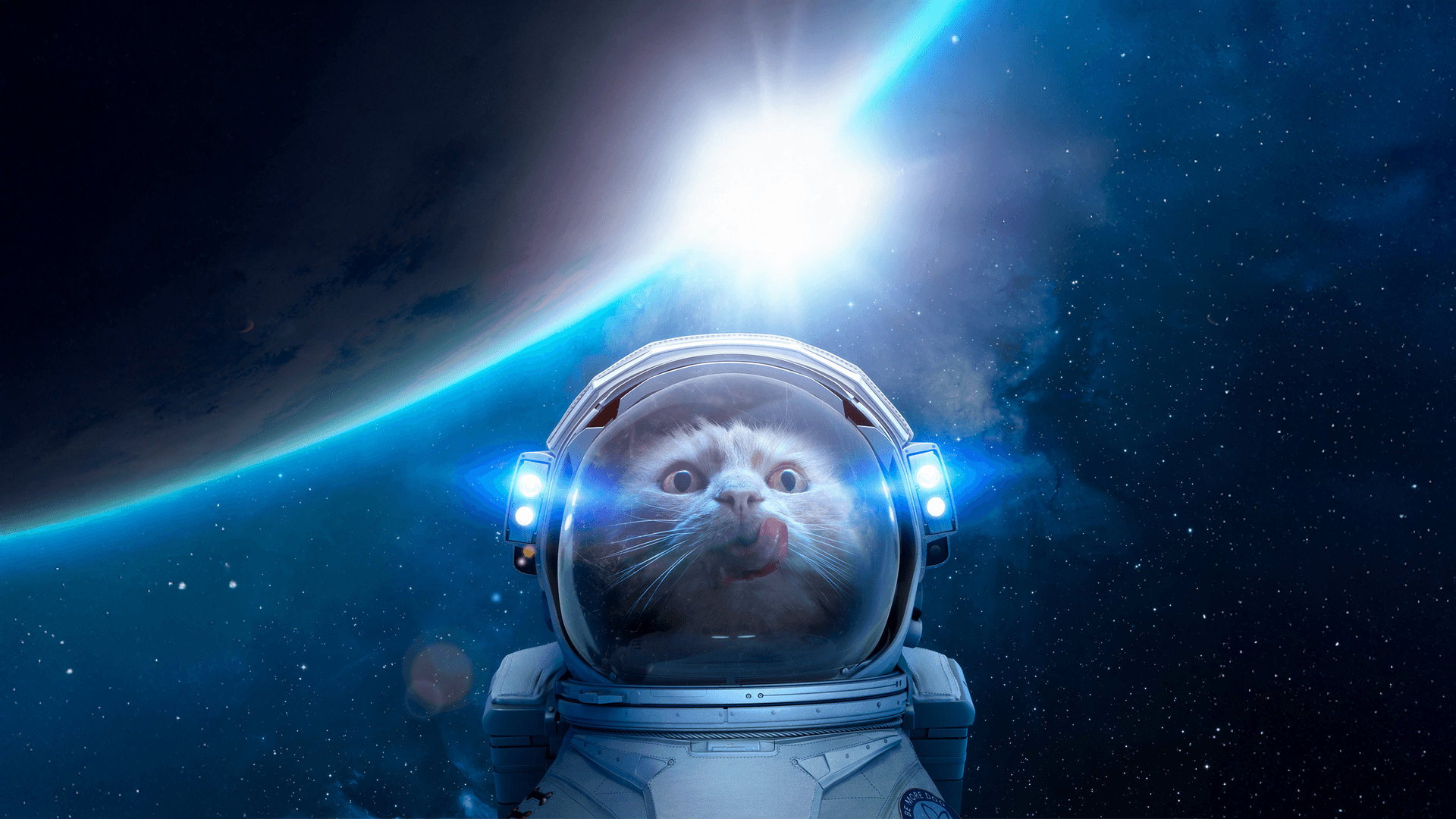 saddington-baynes-about-space-cat