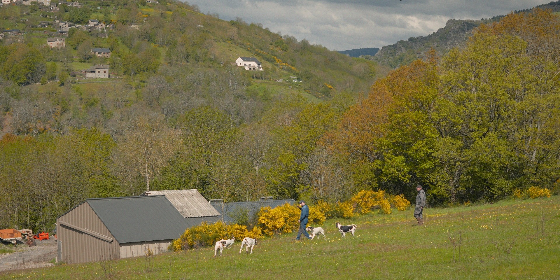 Deux éleveurs avec leurs chiens dans une ferme dans les Cévennes.