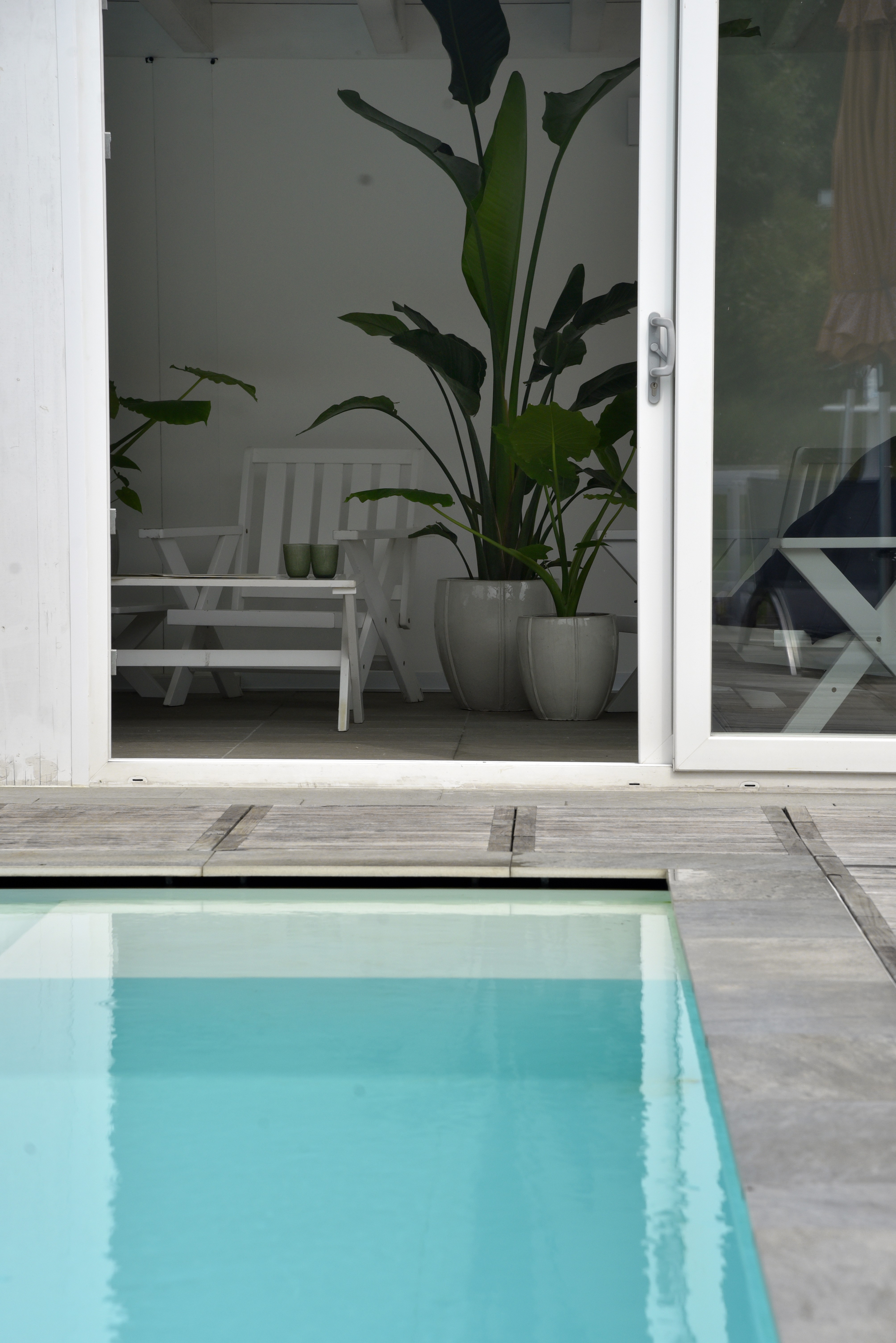 immagine dell'area accoglienza e della piscina