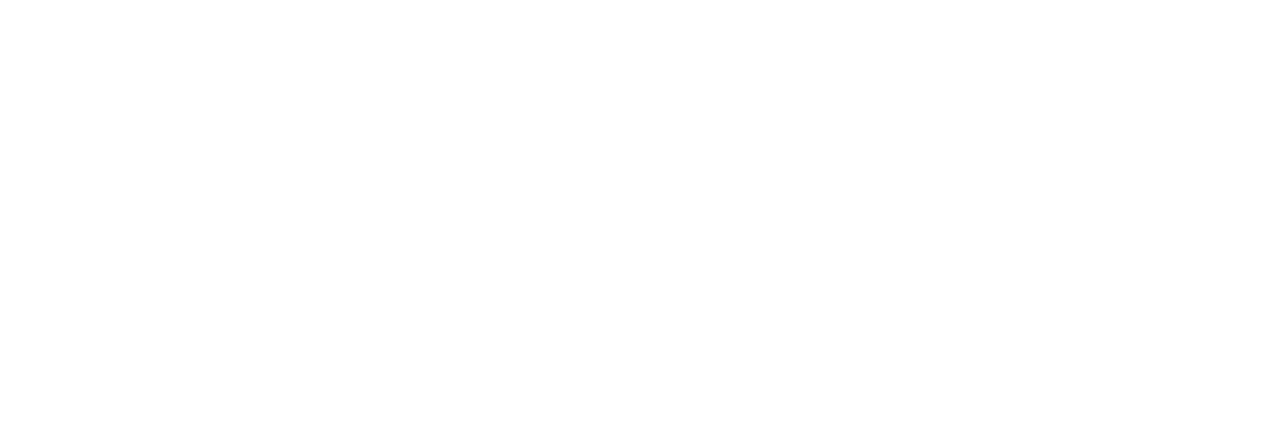 Ninjas In Pyjamas logo