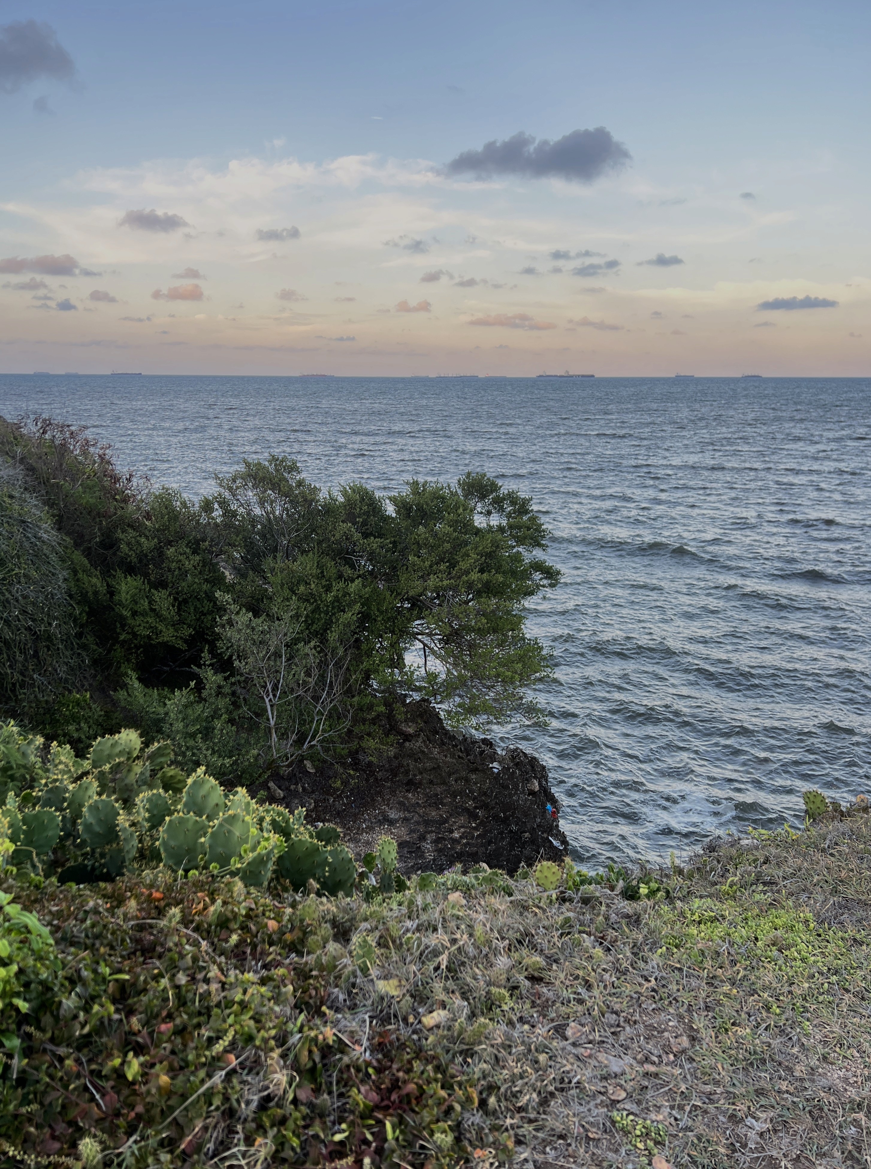 ocean-shore