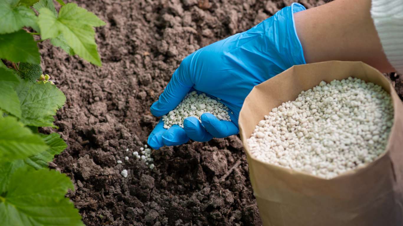 Residential Lawn Fertilization