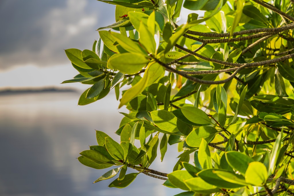 Photo credit Anthony Ochieng Onyango