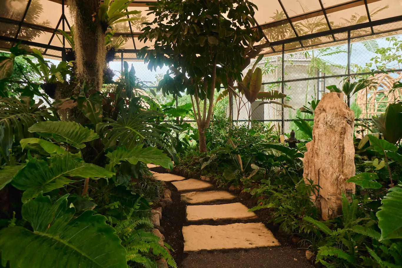 Magic Garden