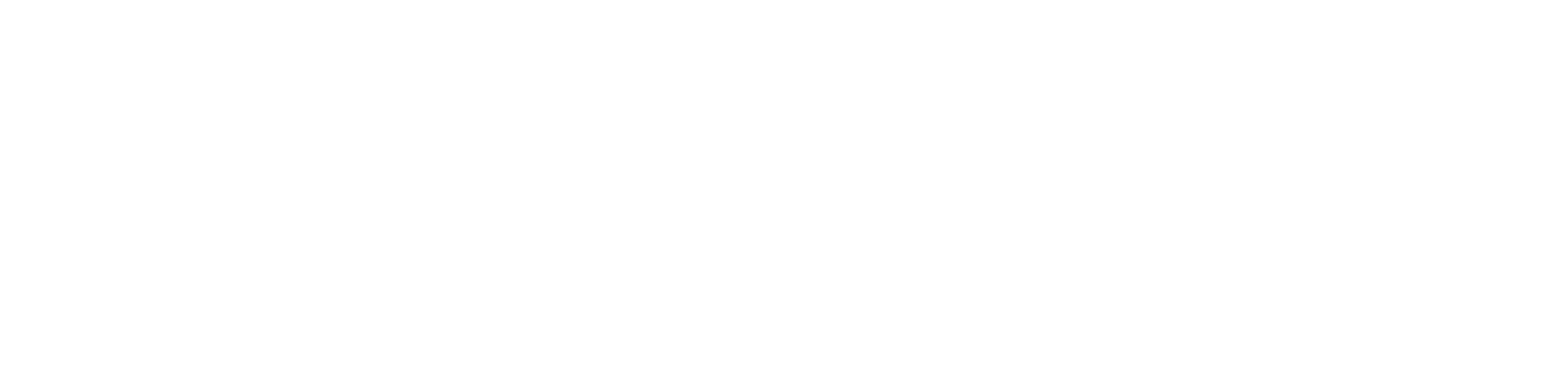 sheinvests logo