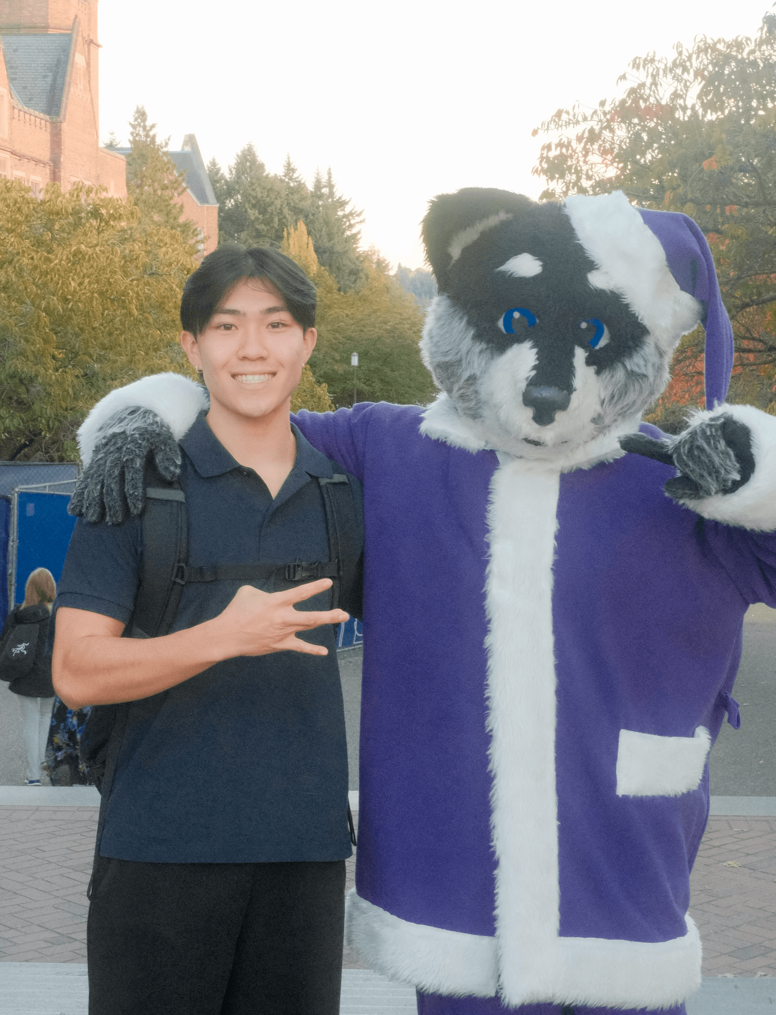 Palm trees frame a dramatic mountain valley landscape