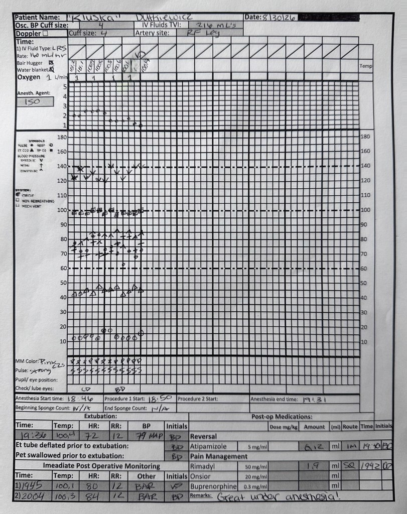Handwritten paper veterinary anesthesia record