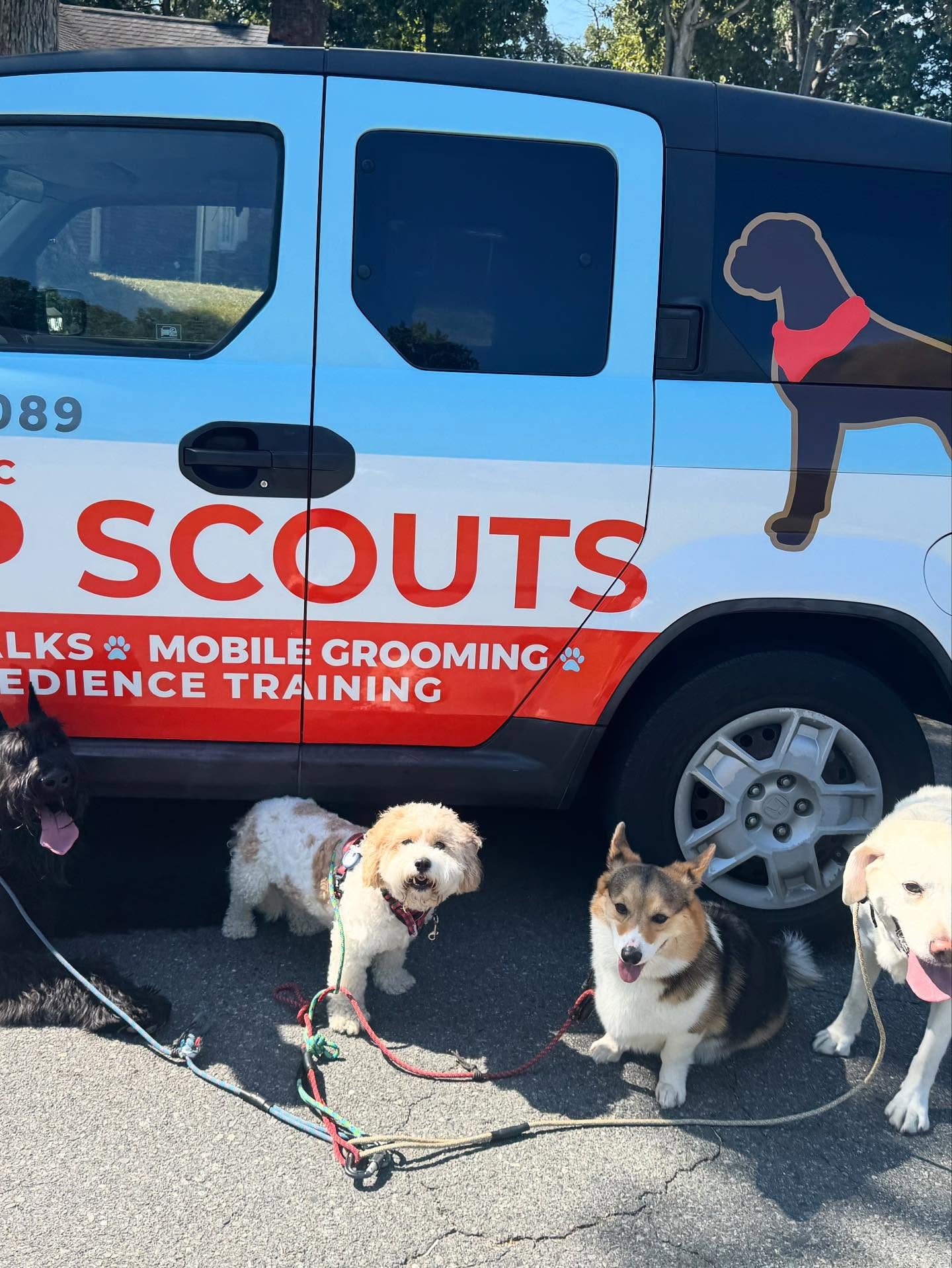 Four dogs on leashes standing in front of Pup Scouts mobile grooming van in Mooresville NC