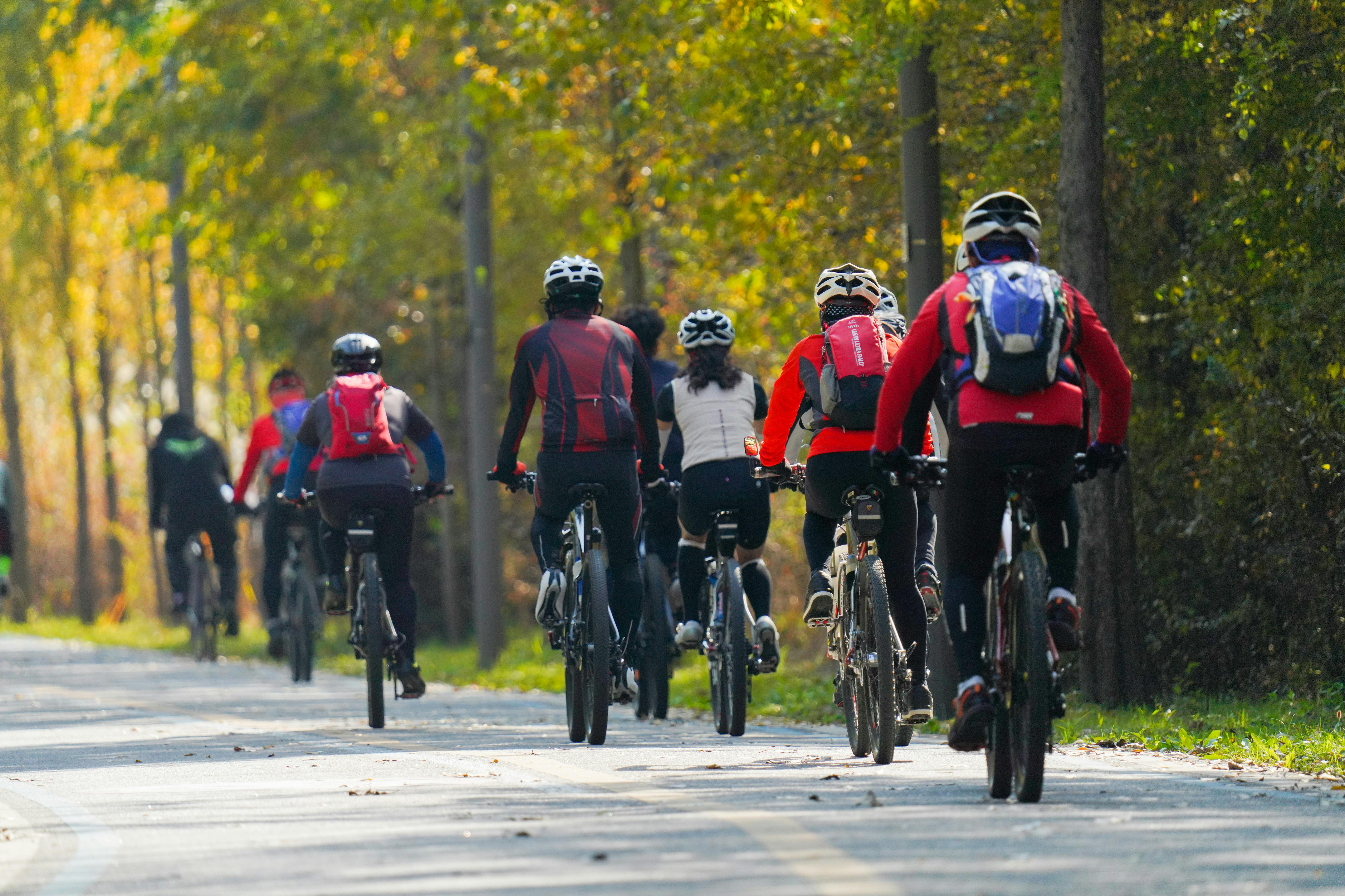 Best Unique Outdoor Activities Near Pigeon Forge