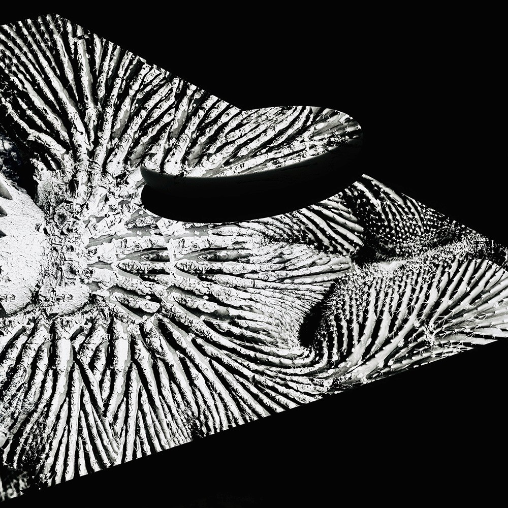 Speculative installation exploring intimacy, body, and domestic space.