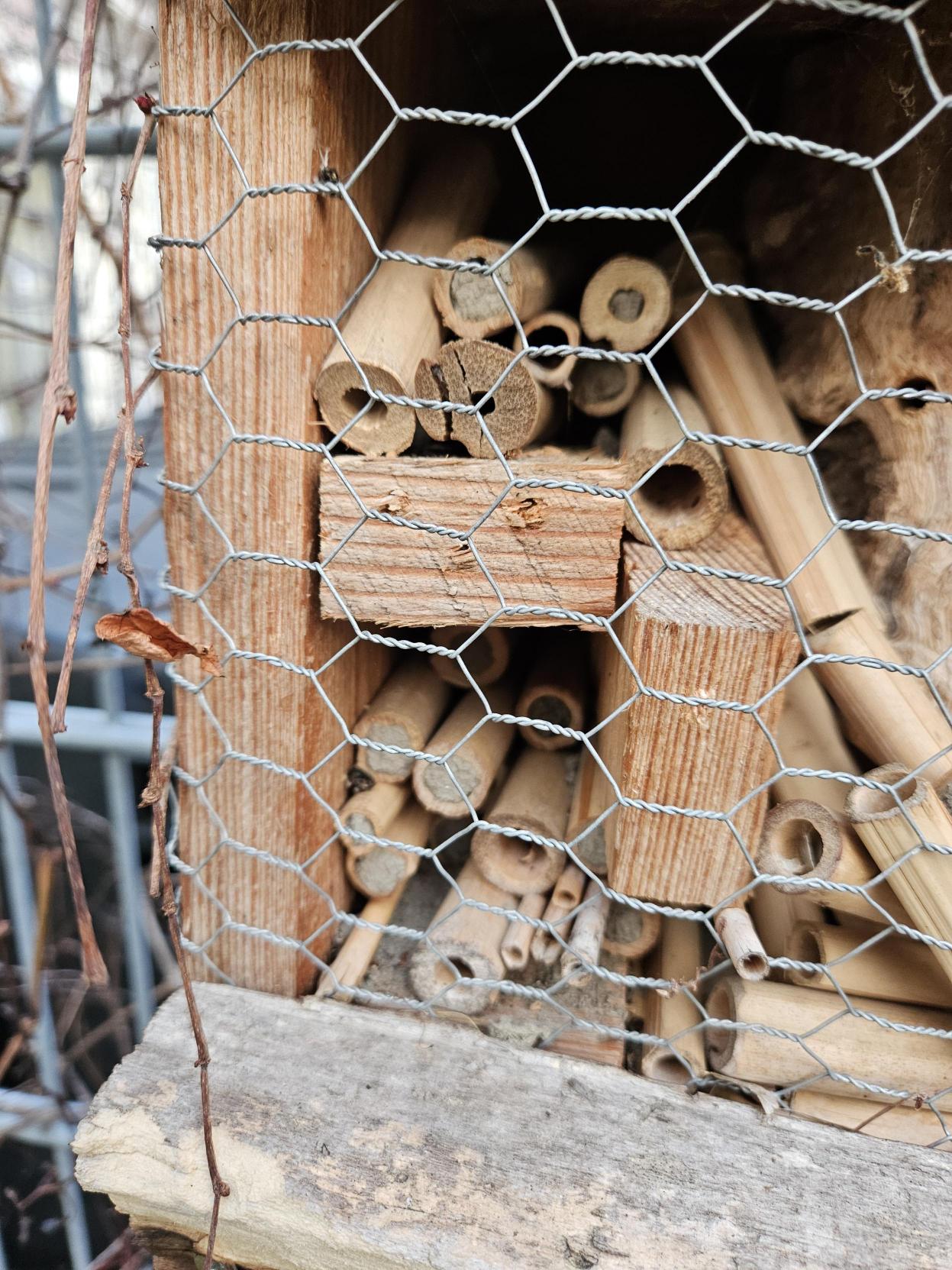 Polka Dot Yayoi Kusama