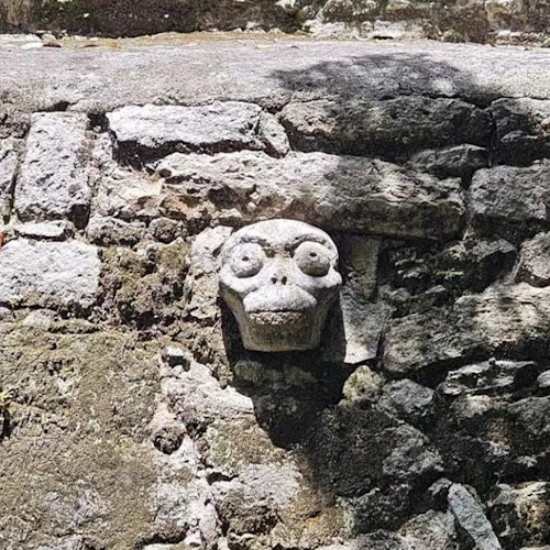 Cobá Archaeological Site: Entry Ticket + Guided Tour tickets in Coba