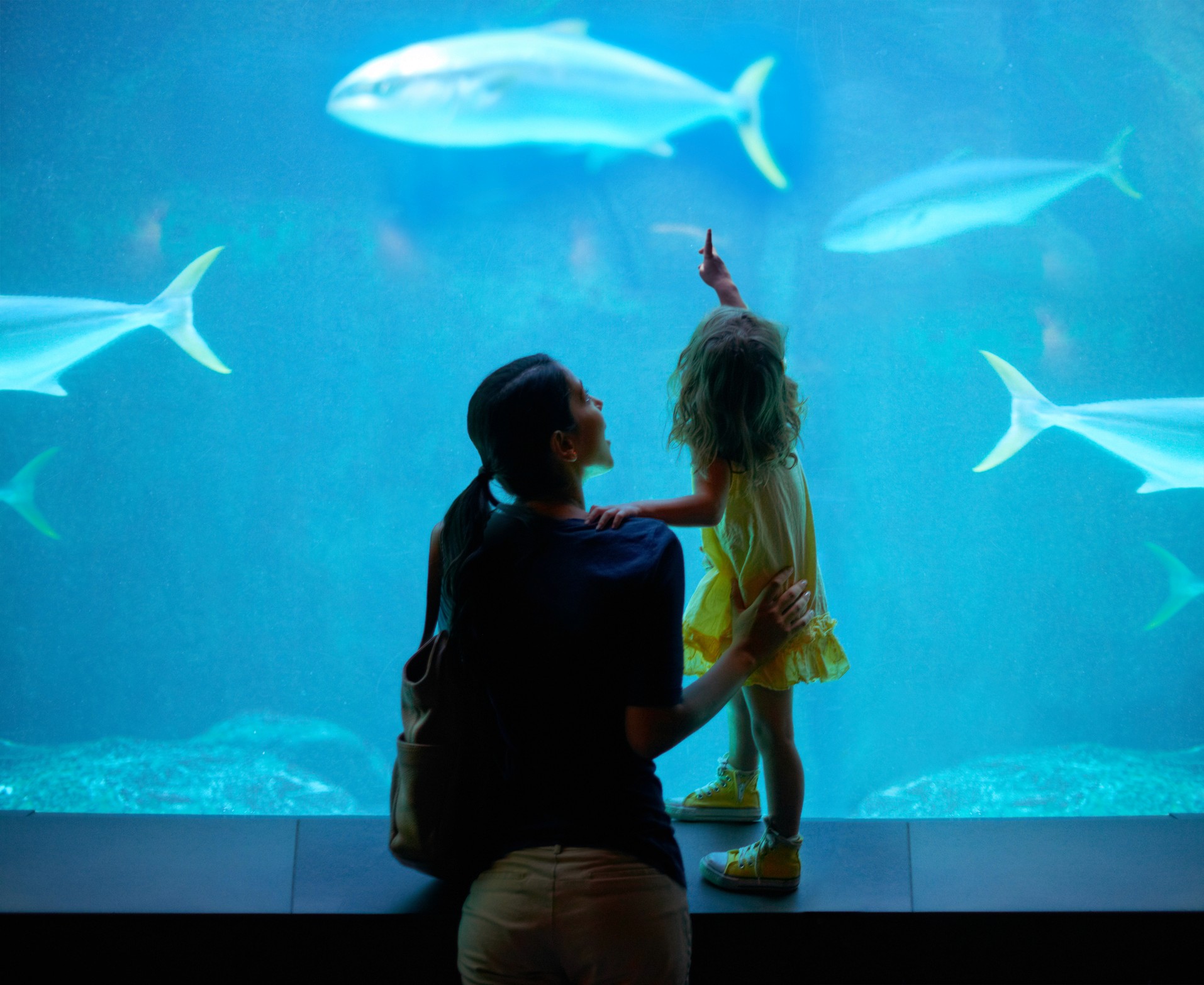 Aquarium