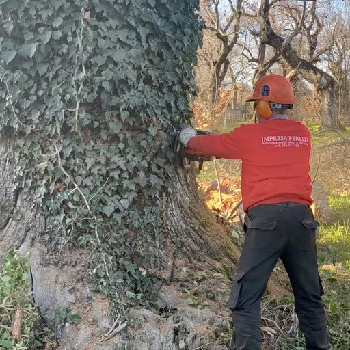 cestello spiegato con operatore che sistema tetto