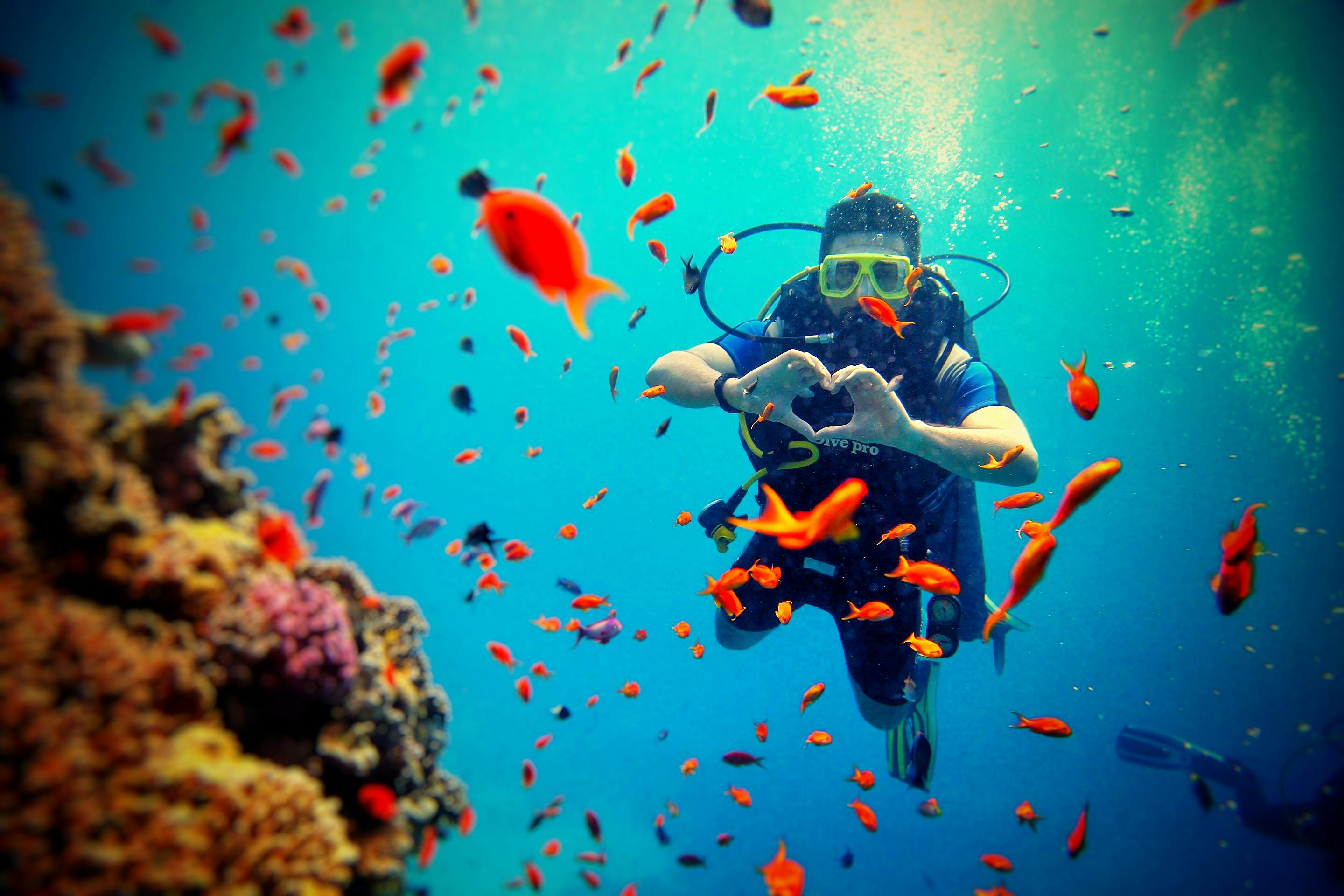 Scuba diving in Tinakkara, Lakshadweep