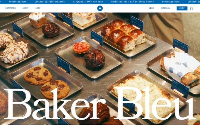 Example website
