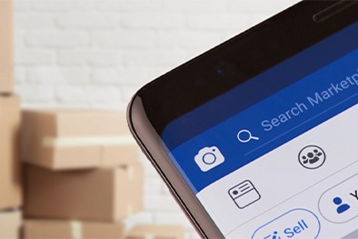 Close-up of lush, dark green leaves, some glossy and wet, against a muted background.