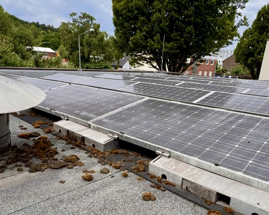 Verschmutzte Photovoltaikanlage vor der Reinigung mit Moos- und Schmutzablagerungen auf den Modulen.