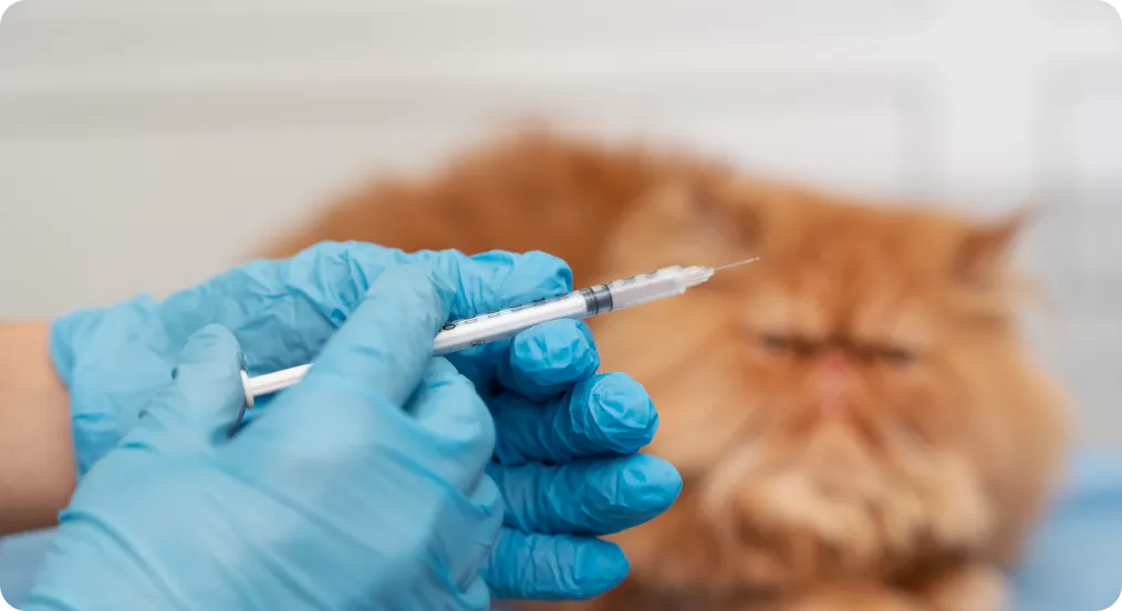 Vacina veterinaria