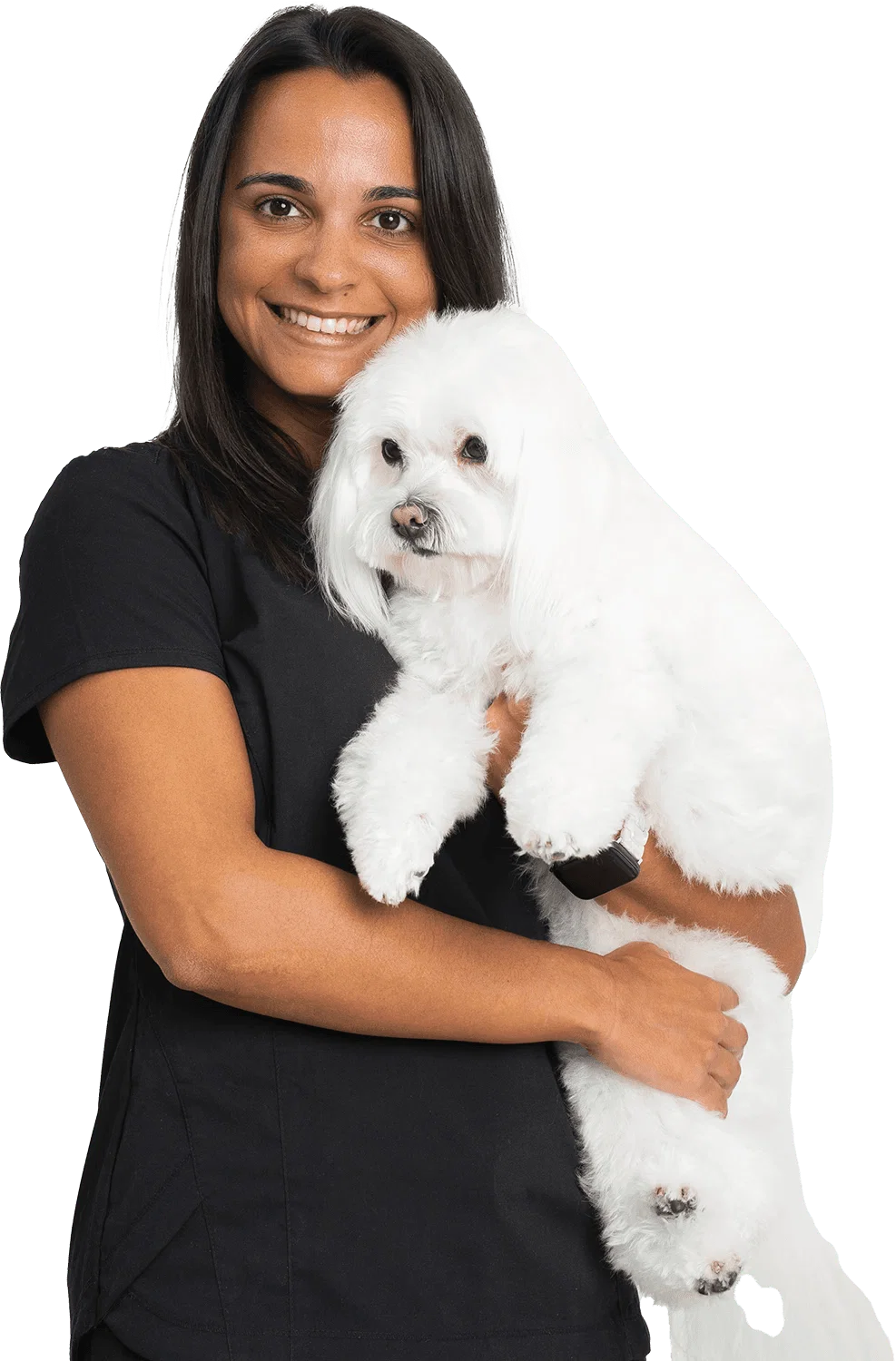 Where Your Pet’s Health Comes First in DIP